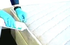 spray, Bed Bug Dust Can be applied to cracks and tufts of the mattress ...
