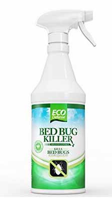 Diatomaceous Earth Combined with a Natural Spray Can Be Effective at Killing Bed Bugs Naturally