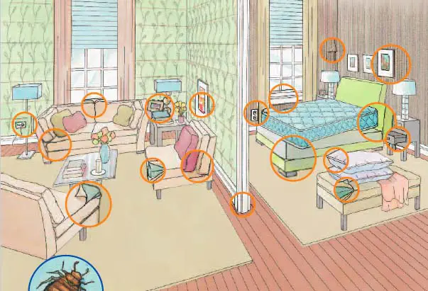 Diagram of common bed bug hiding places in a bedroom