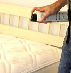 spraying mattress with bed bug spray