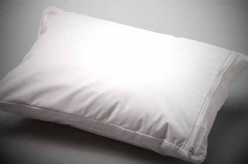 bed bug travel pillow