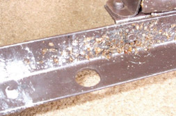 Bed bugs on inside furniture track