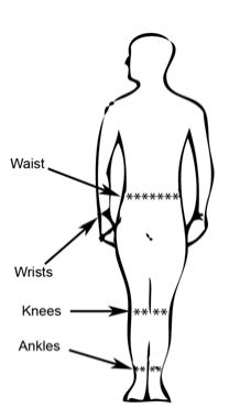 illustration of chigger bite locations on body