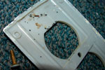 bed bug infested electrical plate