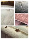 Bed Bug Marks on Mattresses