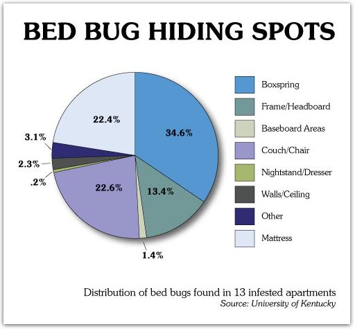 bed bug hiding spots