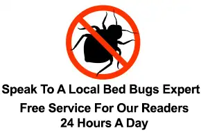 Bed Bugs Handbook: Bites, Images, Signs and Treatment Advice