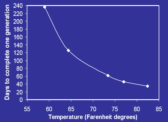 Bed Bug Temperature Chart